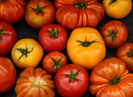 unnamed tomate